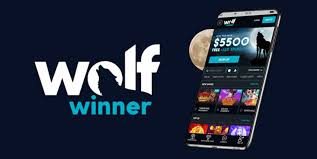 Wolf Winner Casino Is the Hottest Online Casino in Australia Right Now