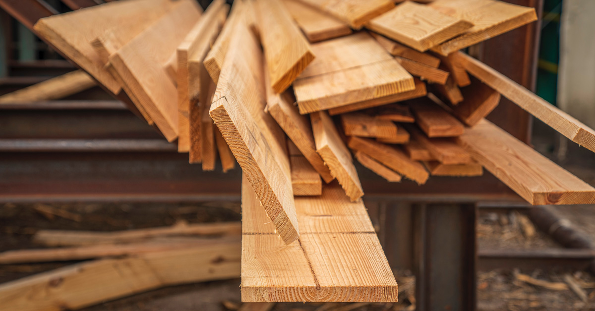 How to Choose the Right Wood for Construction and DIY Projects